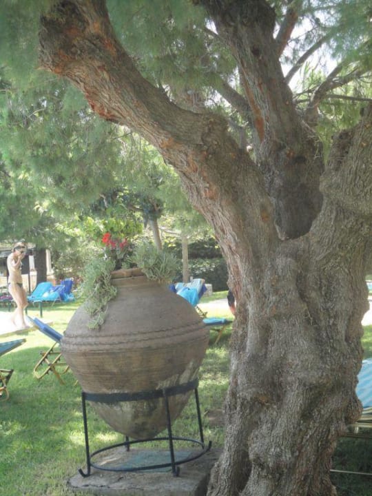 Ogród allsun Hotel Malia Beach