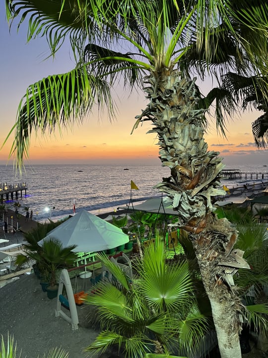 Strand Hotel Botanik Platinum