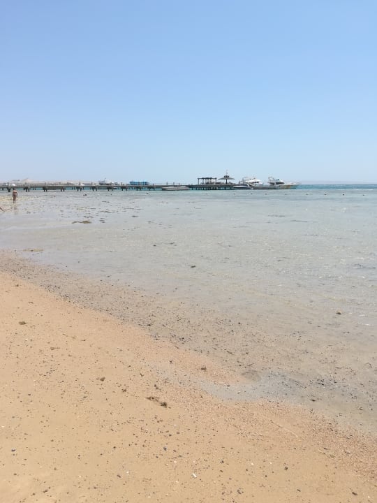 Strand Steigenberger ALDAU Beach Hotel