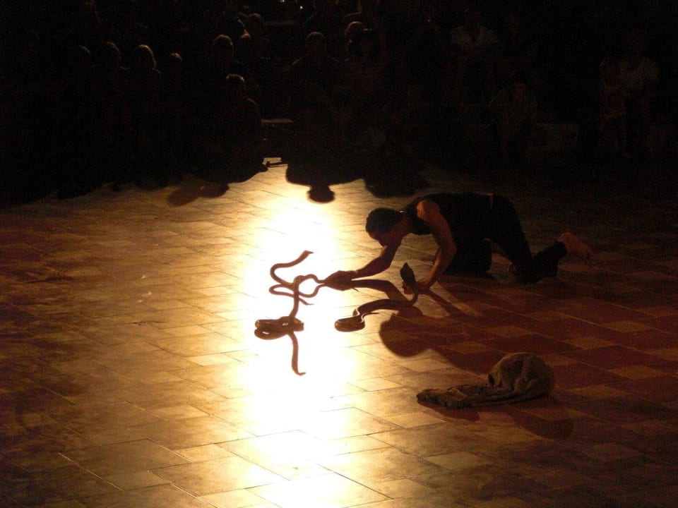 Cobra Show Pickalbatros Palace Resort