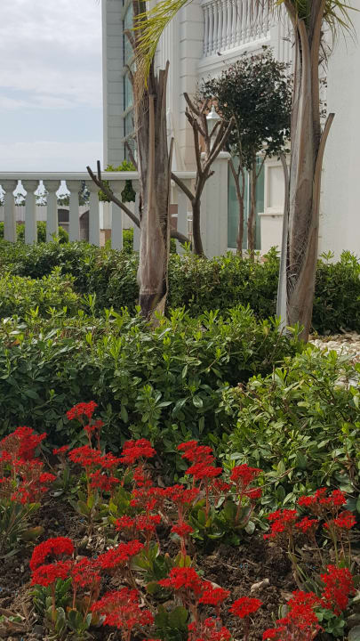 Ausblick Litore Resort & Spa