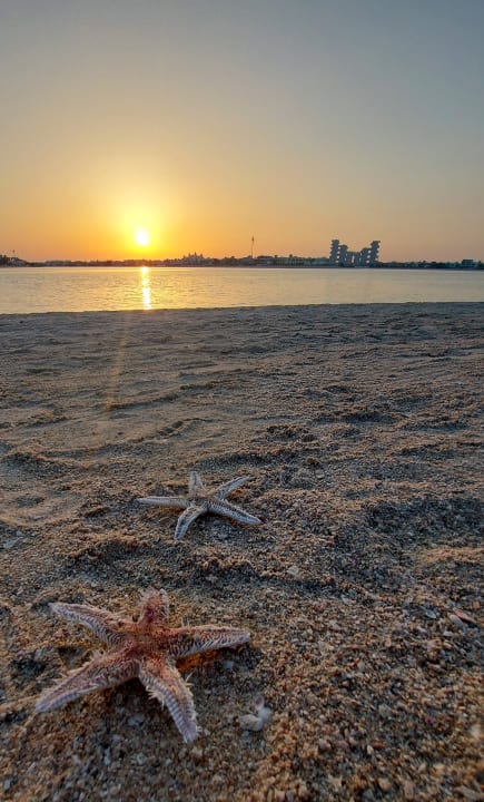 Strand Rixos The Palm Hotel & Suites