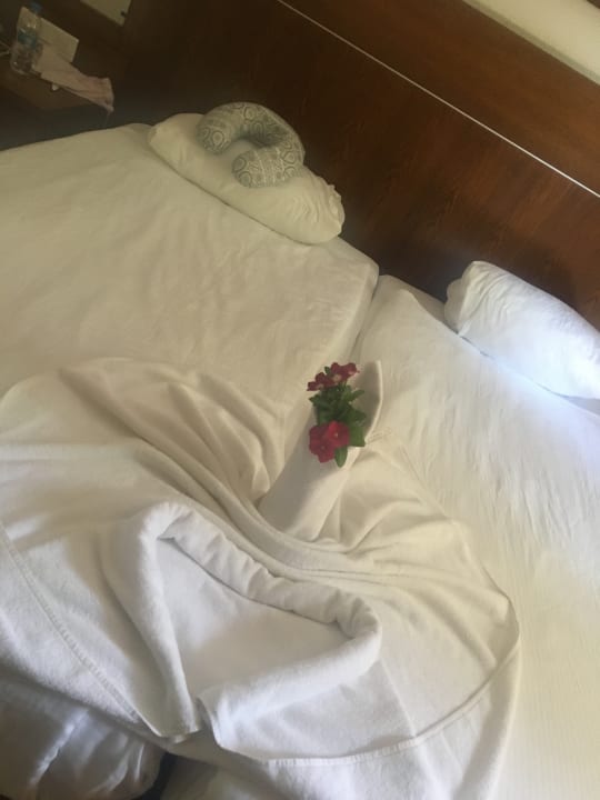 Zimmer Sunis Elita Beach Resort & Spa