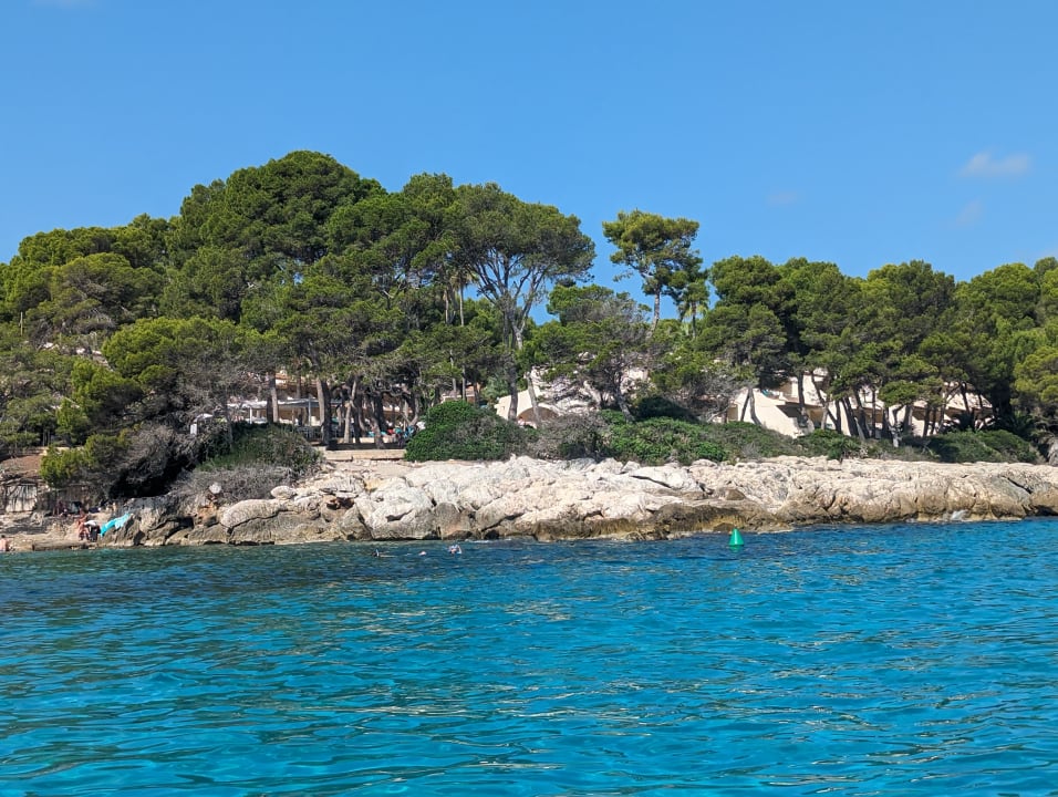 Gartenanlage Iberostar Waves Pinos Park