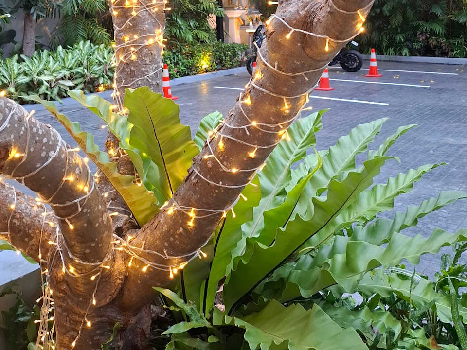 Außenansicht Hotel Amber Pattaya
