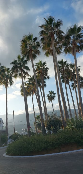 Sonstiges allsun Hotel Carolina Mare