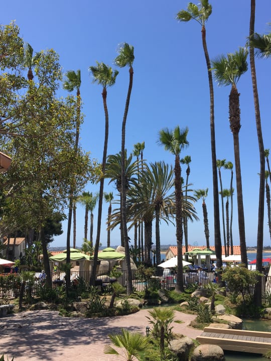 Gartenanlage San Diego Mission Bay Resort