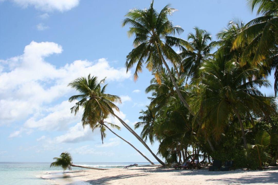 Hotelstrand Filitheyo Island Resort