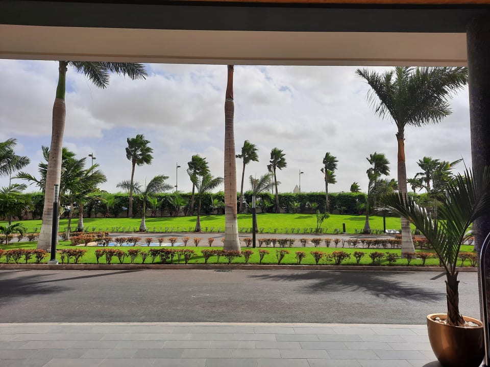 Ausblick Hotel Riu Palace Boavista