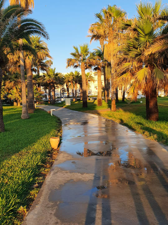 Gartenanlage Hotel Marhaba Club