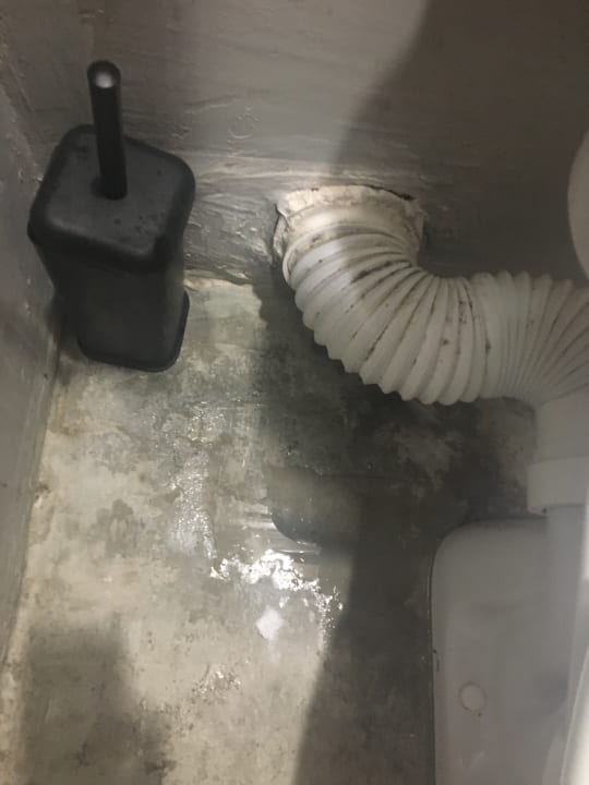 Sonstiges Cook's Club Sunny Beach