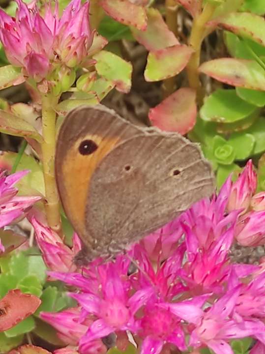 Sonstiges Alpengasthof Rossmoos