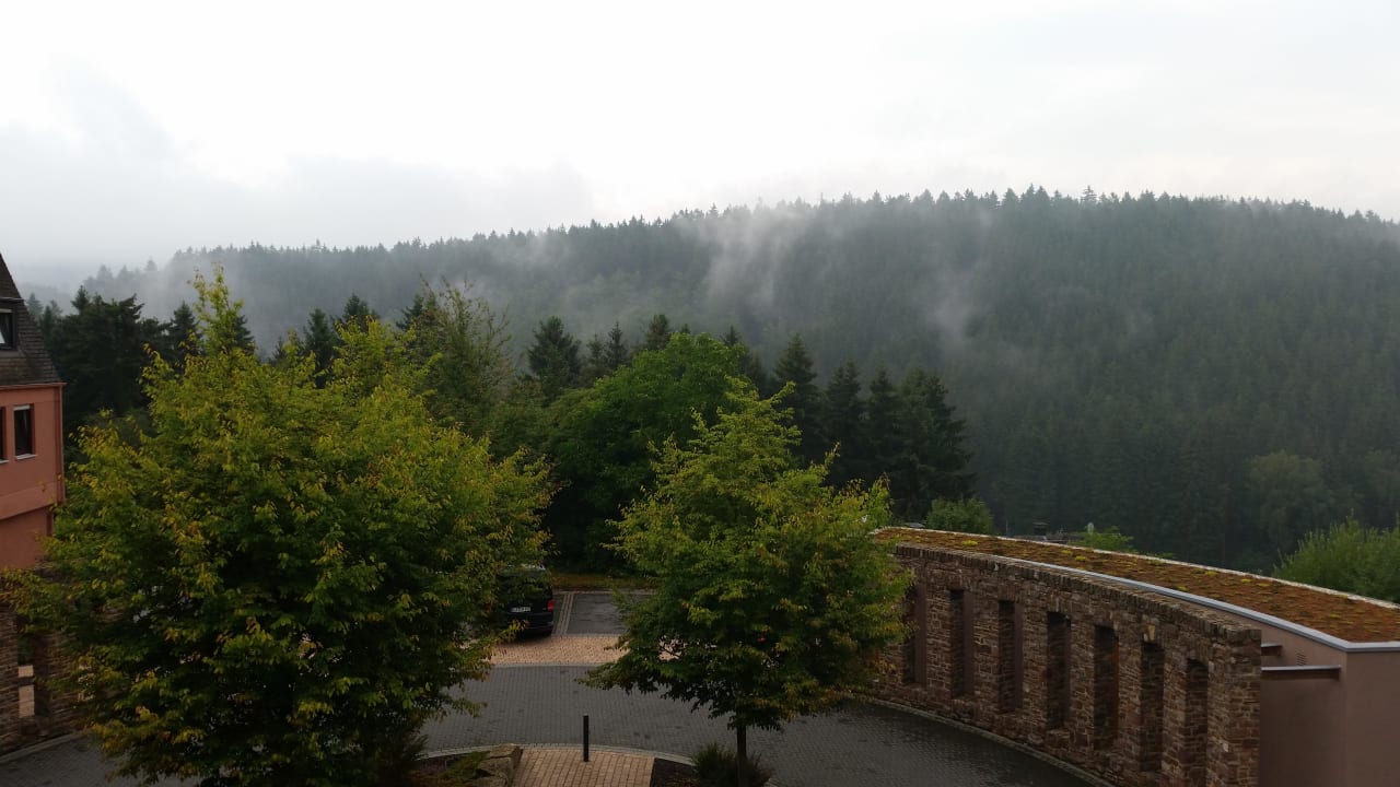 Fichtenwald  Marienhöh