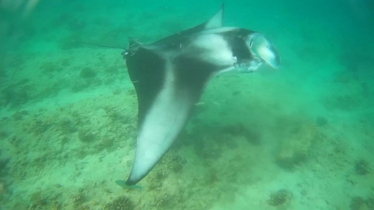 Sport & Freizeit Summer Island Maldives