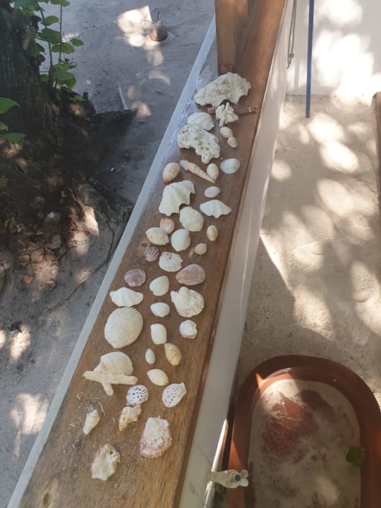 Sonstiges NH Collection Maldives Reethi Resort