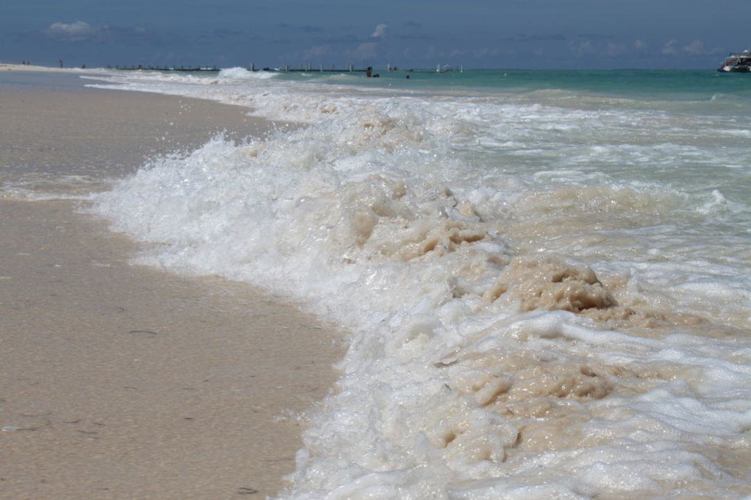 Strand Dreams Royal Beach Punta Cana