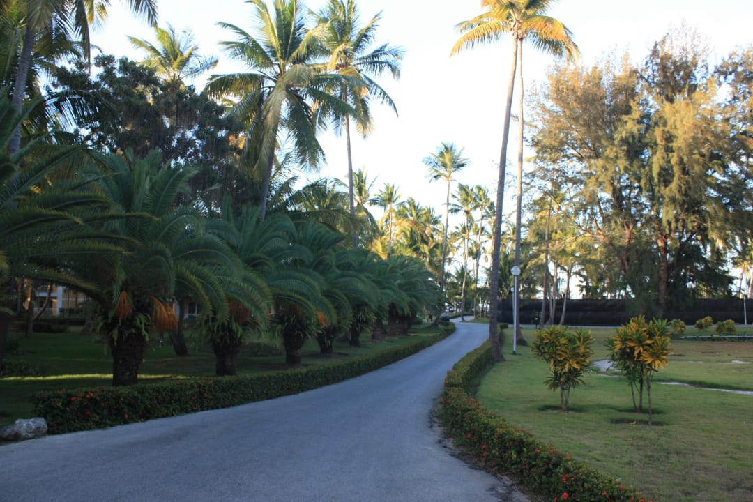 Weg zum Strand Grand Palladium Punta Cana Resort & Spa