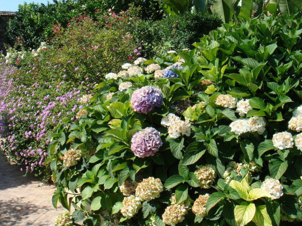 Garten Caruso, A Belmond Hotel, Amalfi Coast