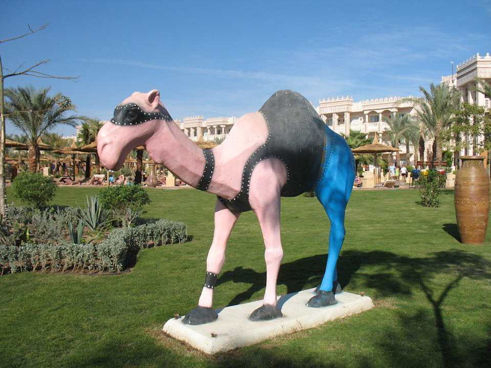 Между пляжем бассейном Pickalbatros Palace Resort