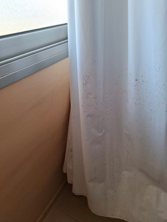 Zimmer SBH Costa Calma Beach Resort