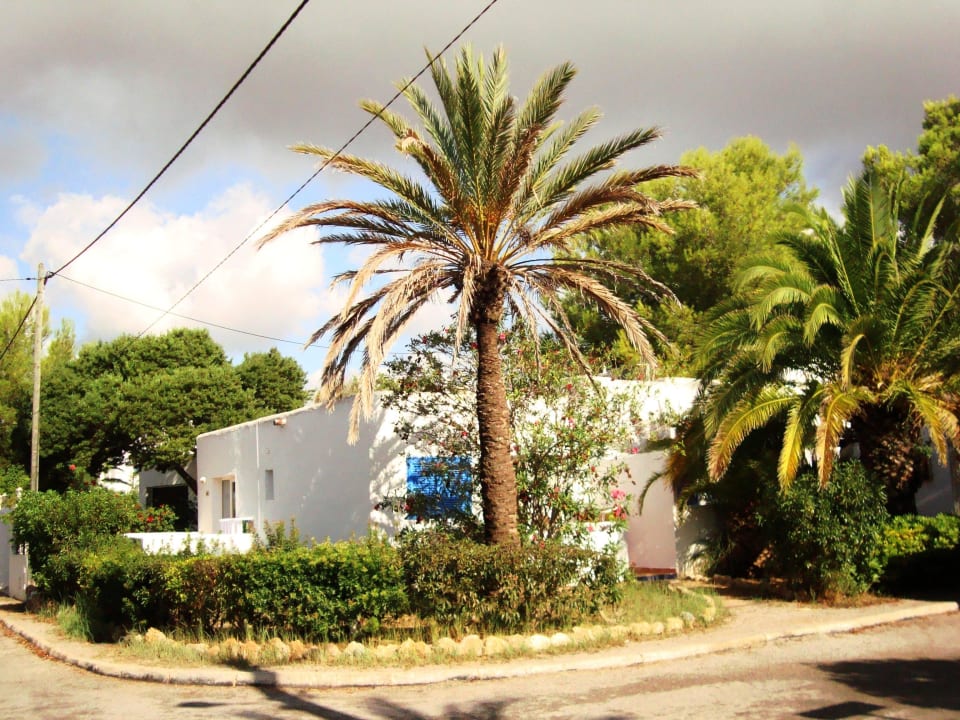 Bungalows Cala Llenya Resort Ibiza