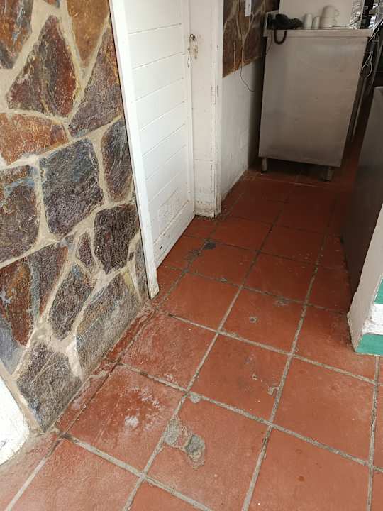 Gartenanlage H10 Playa Esmeralda - Adults only