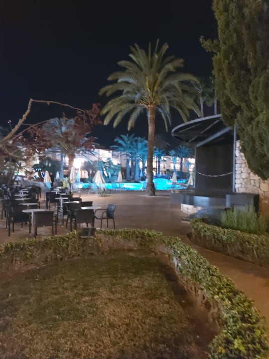 Pool Alcudia Garden Aparthotel