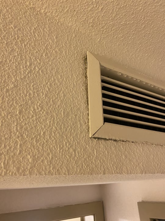 Zimmer blau punta reina