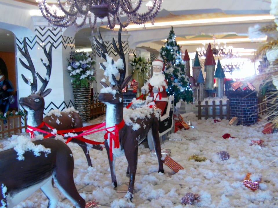 Wurde mit Weihnachtsmusik untermalt Royal Taj Mahal Hotel