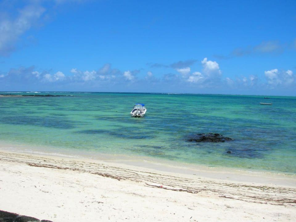 Hotelstrand an Sonnentag Tropical Attitude - Adults only