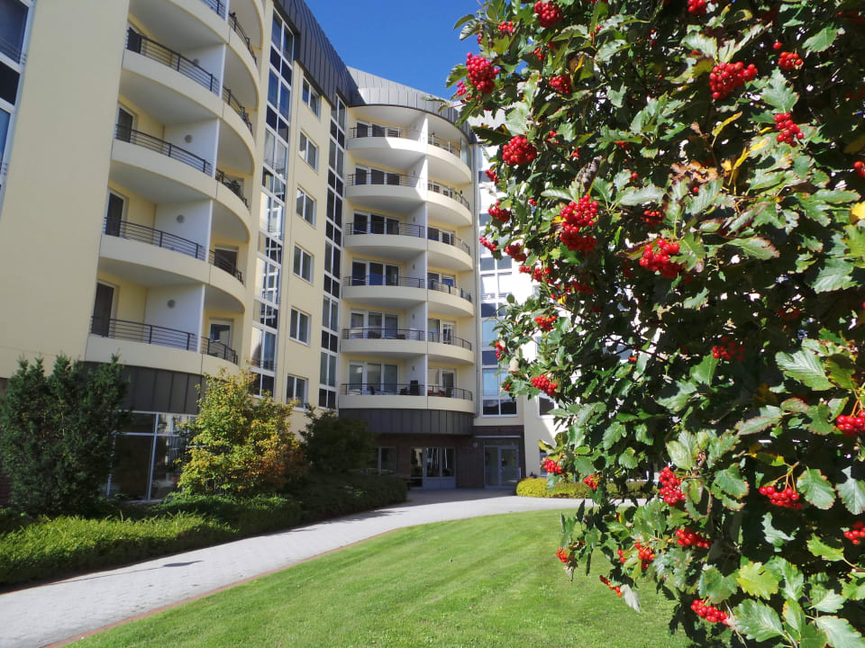 Kurpark-Residenz Gartenseite Kurpark-Residenz - Apartment 226