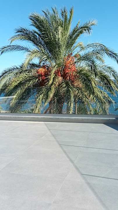 Ausblick Rodos Princess Beach Hotel & Spa