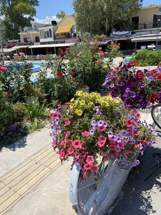 Gartenanlage Harmony Boutique Resort