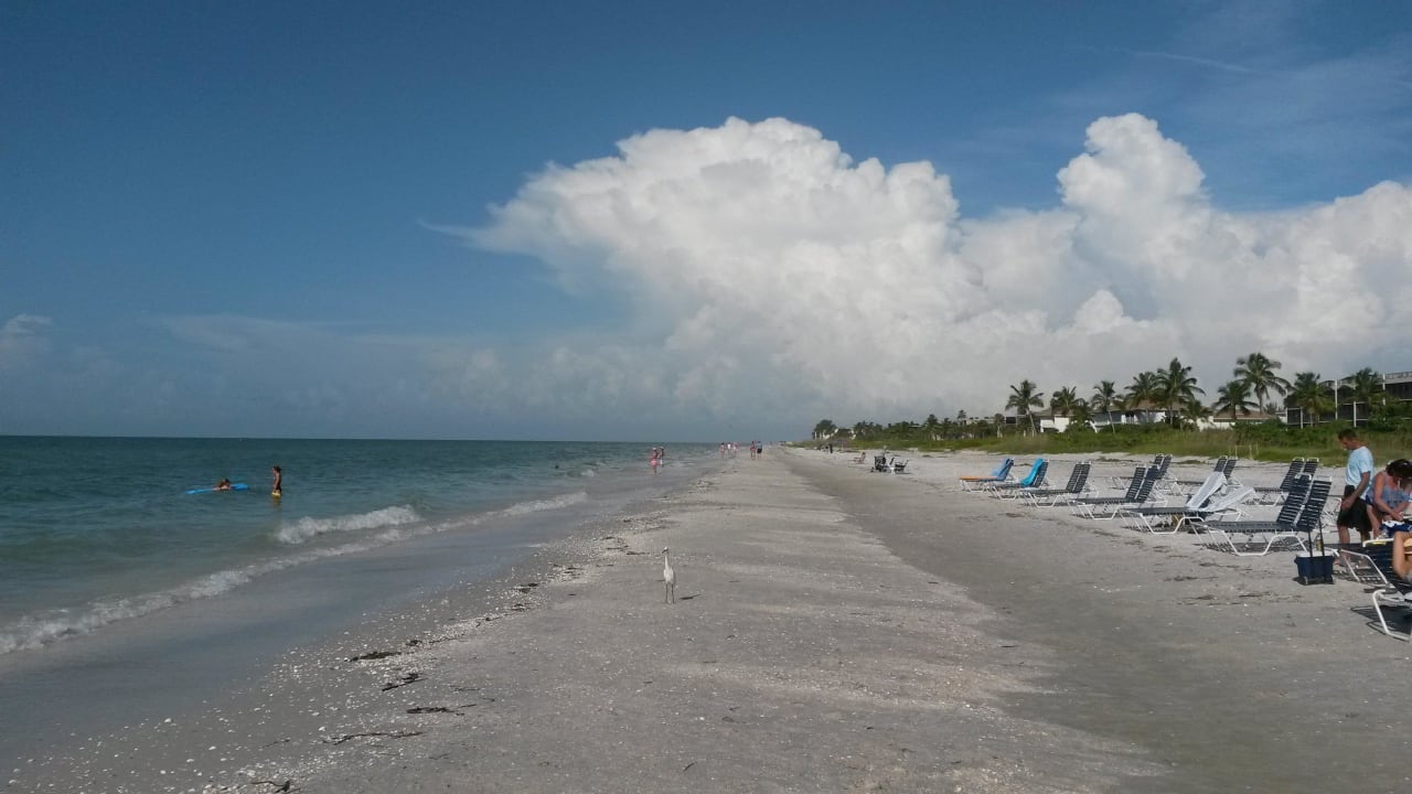 Muscheln wohin man blickt Sanibel Island Beach Resort