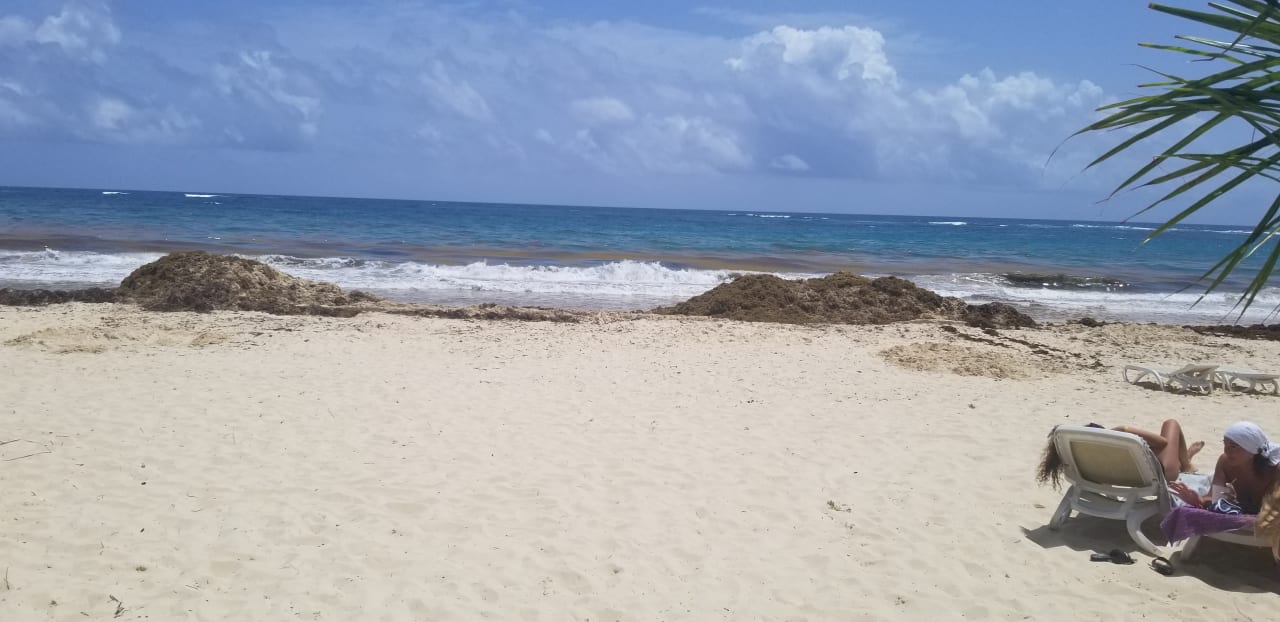 Strand Hotel Riu Republica - Adults only