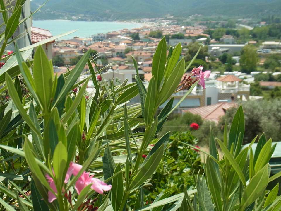 Ausblick vom Hotel auf Sarti Hotel Maistrali