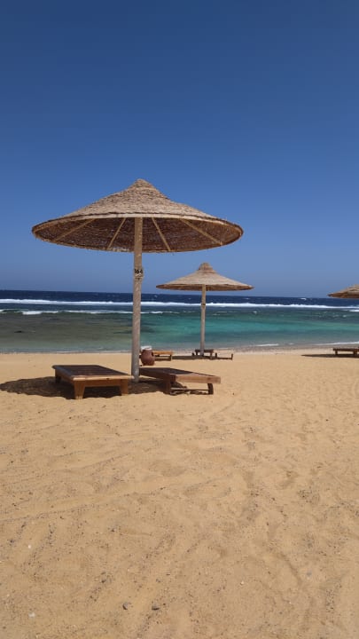Strand Pickalbatros Sea World Resort - Marsa Alam