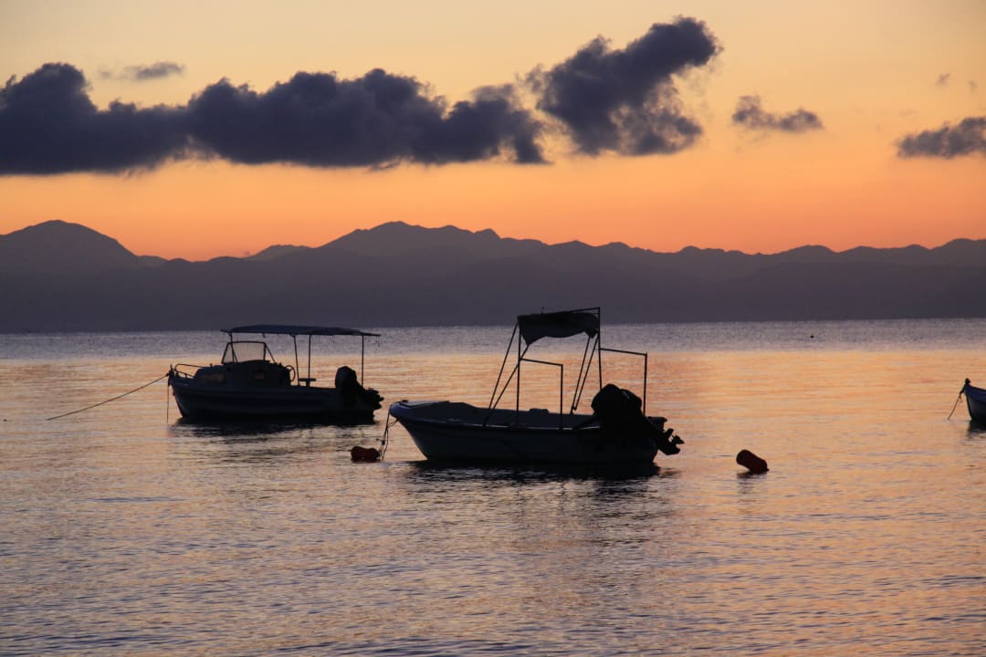 Ausblick Hotel Albatros