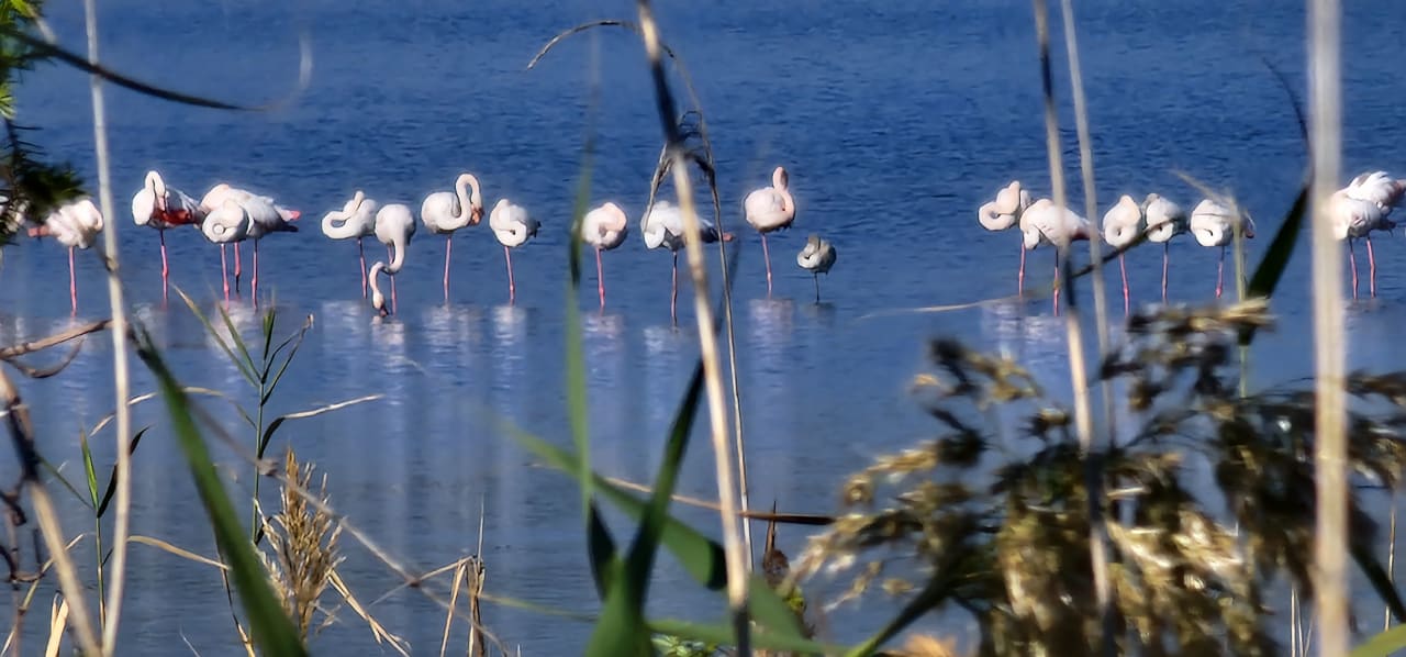 Ausblick Sandy Beach Resort