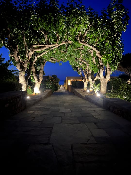 Gartenanlage Kernos Beach Hotel & Bungalows