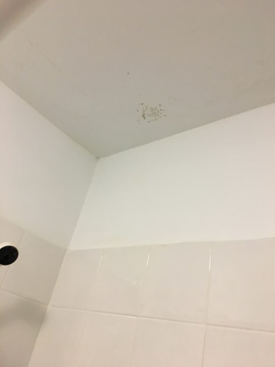 Zimmer Apartamentos La Caleta