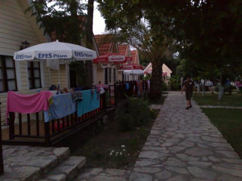 Innenhof der Bungalowanlage mit Orangenbäumchen Clover Magic Nova Beach