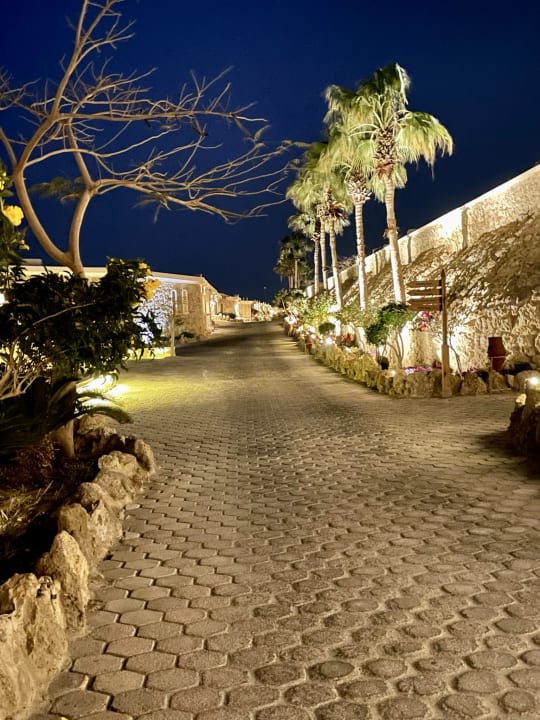 Gartenanlage Pickalbatros Citadel Resort