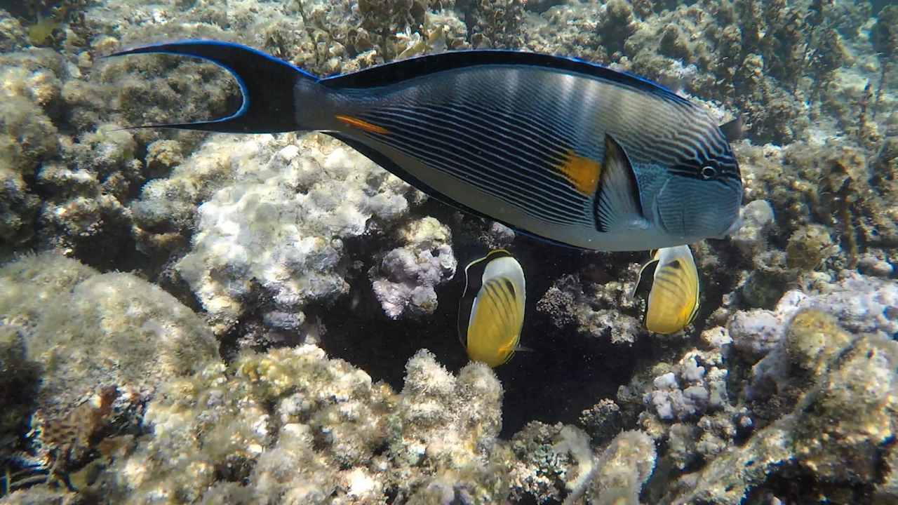 Sonstiges Brayka Bay Resort