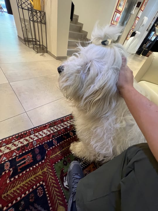 Sonstiges Familienhotel Sonngastein