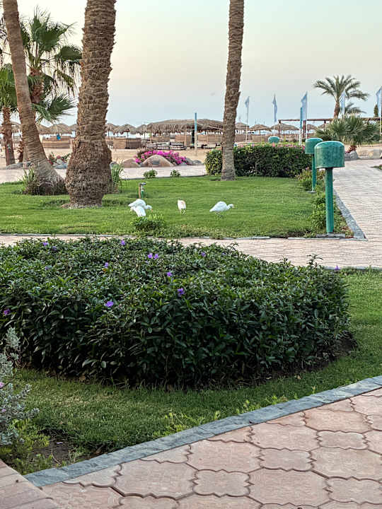 Außenansicht Shams Safaga Resort