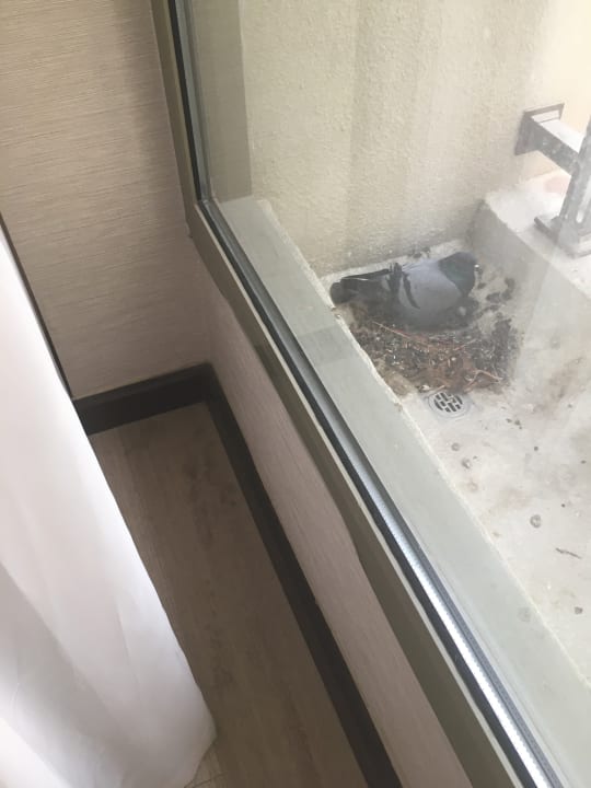 Zimmer Barceló Al Jaddaf