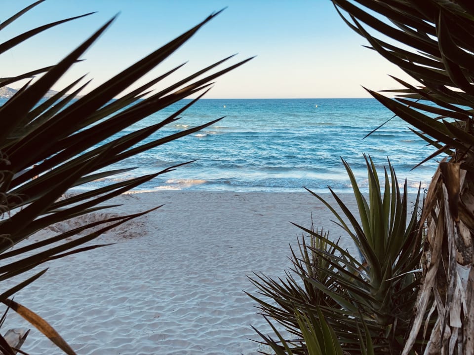Strand Iberostar Waves Playa de Muro