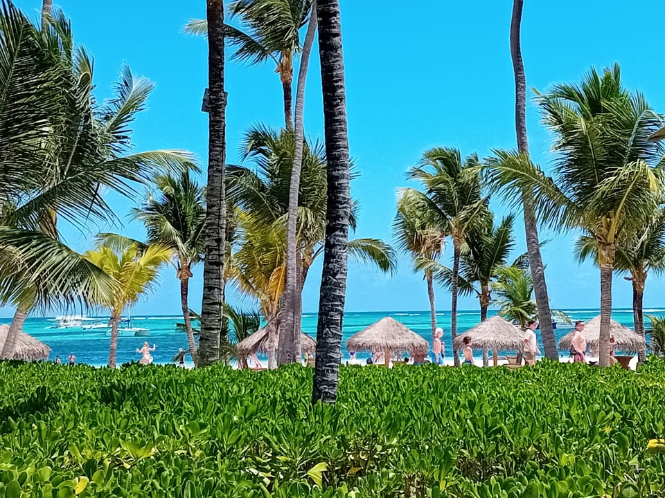 Gartenanlage Lopesan Costa Bávaro Resort, Spa & Casino