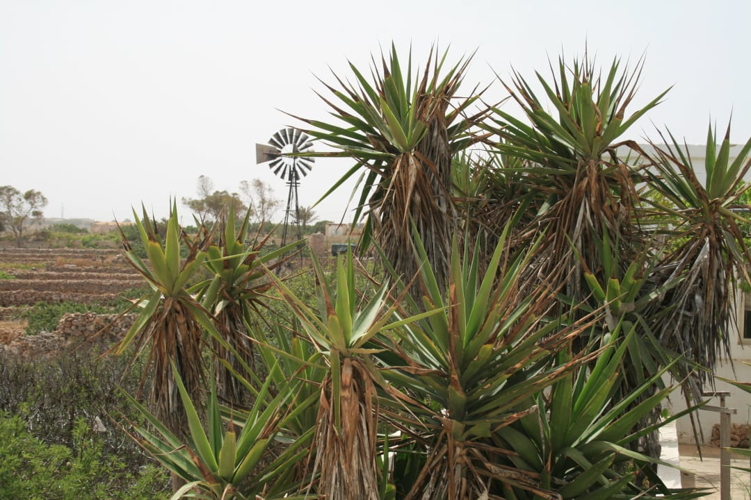 Rückseite des Hotels Riviera Spa Resort - Adults Only